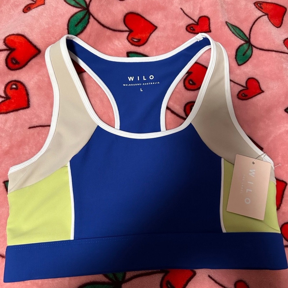 Wilo Blue Colorblock Sports Bra Size Large